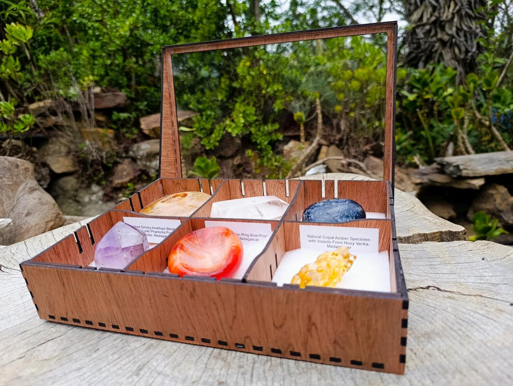 Natural Mixed Set of 6 African Gemstones and Fossil in a Wooden Display Box x 1 From Southern Africa