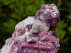 Natural Bright Pink Rubellite Tourmaline Specimen x 1 From Karibib, Namibia