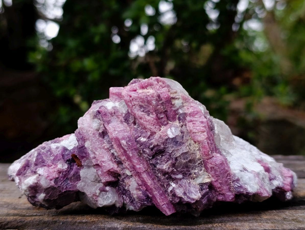 Natural Bright Pink Rubellite Tourmaline Specimen x 1 From Karibib, Namibia