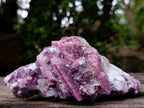 Natural Bright Pink Rubellite Tourmaline Specimen x 1 From Karibib, Namibia