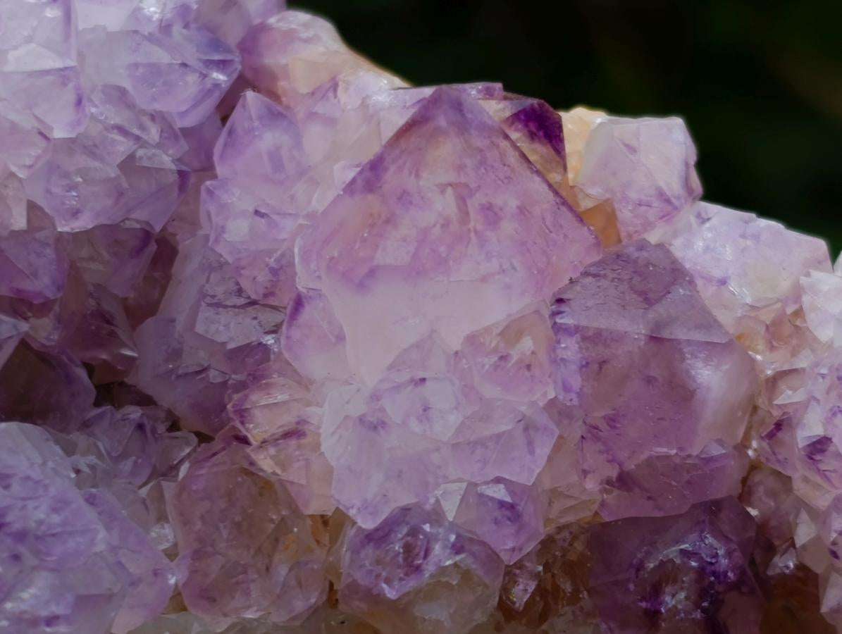 Natural Sunburst Cactus Flower Spirit Amethyst Crystal Cluster x 1 From Boekenhouthoek, South Africa