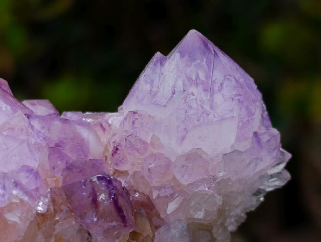 Natural Sunburst Cactus Flower Spirit Amethyst Crystal Cluster x 1 From Boekenhouthoek, South Africa