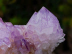 Natural Sunburst Cactus Flower Spirit Amethyst Crystal Cluster x 1 From Boekenhouthoek, South Africa