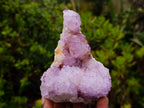 Natural Sunburst Cactus Flower Spirit Amethyst Crystal Cluster x 1 From Boekenhouthoek, South Africa