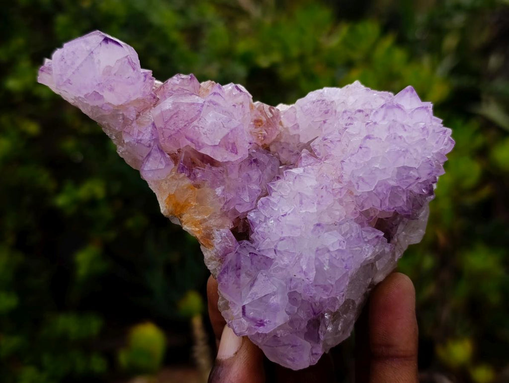 Natural Sunburst Cactus Flower Spirit Amethyst Crystal Cluster x 1 From Boekenhouthoek, South Africa
