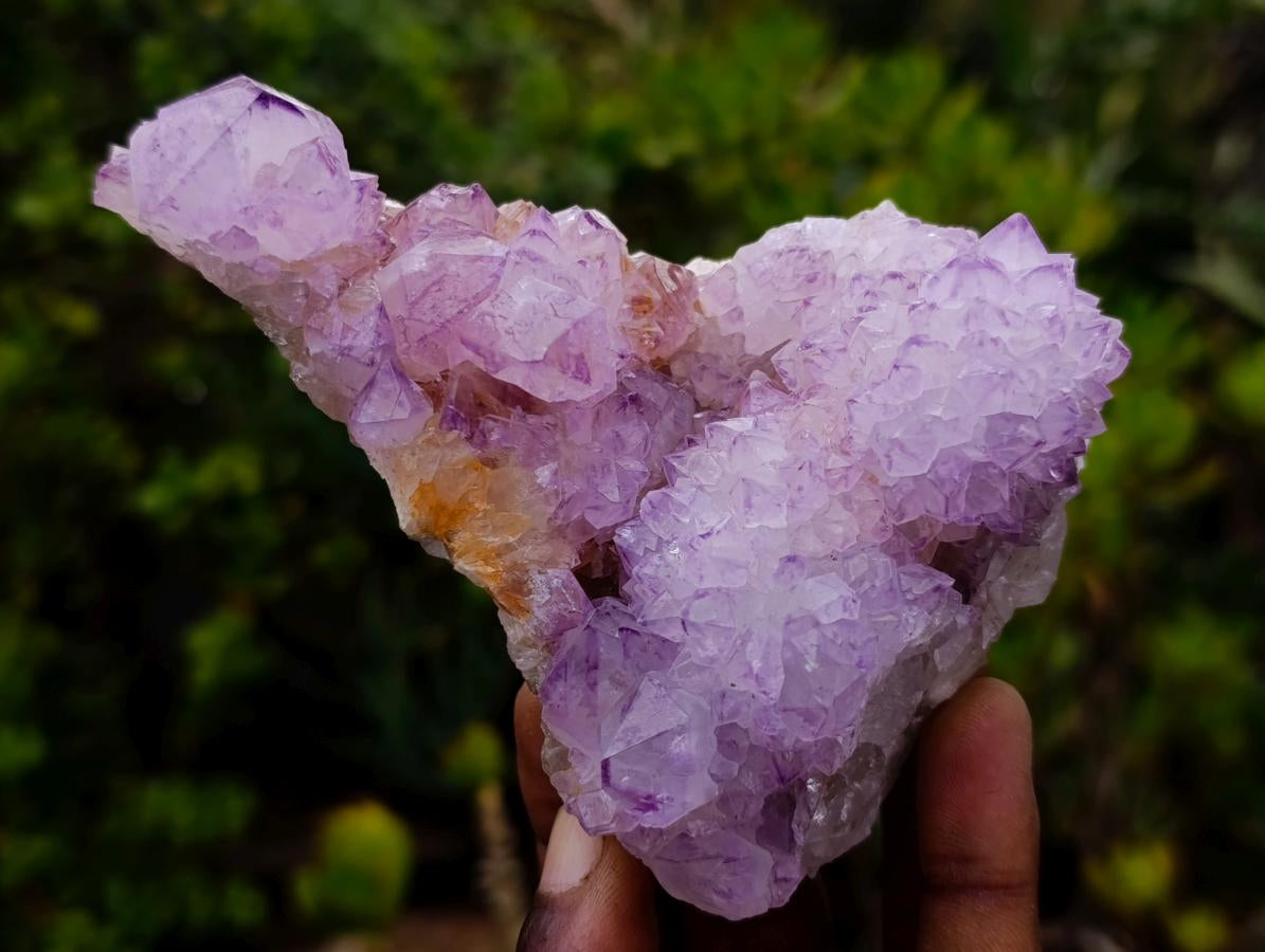 Natural Sunburst Cactus Flower Spirit Amethyst Crystal Cluster x 1 From Boekenhouthoek, South Africa