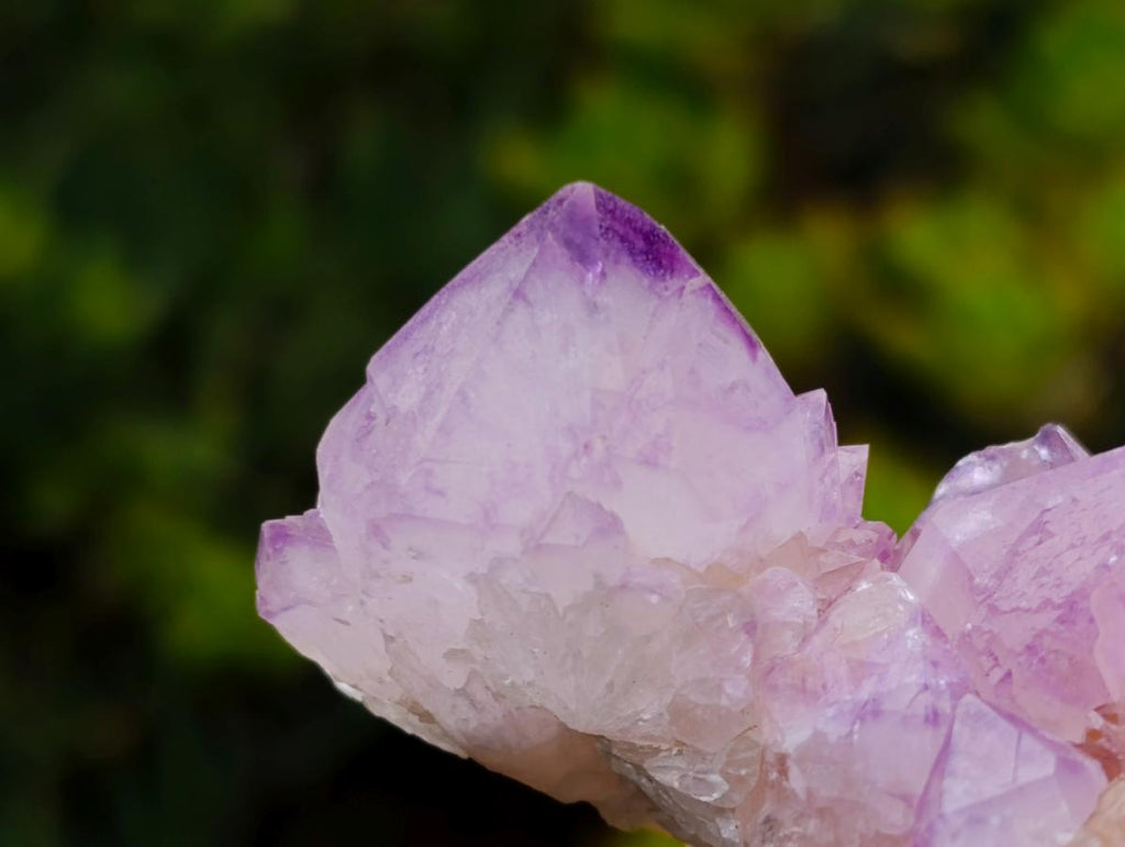 Natural Sunburst Cactus Flower Spirit Amethyst Crystal Cluster x 1 From Boekenhouthoek, South Africa