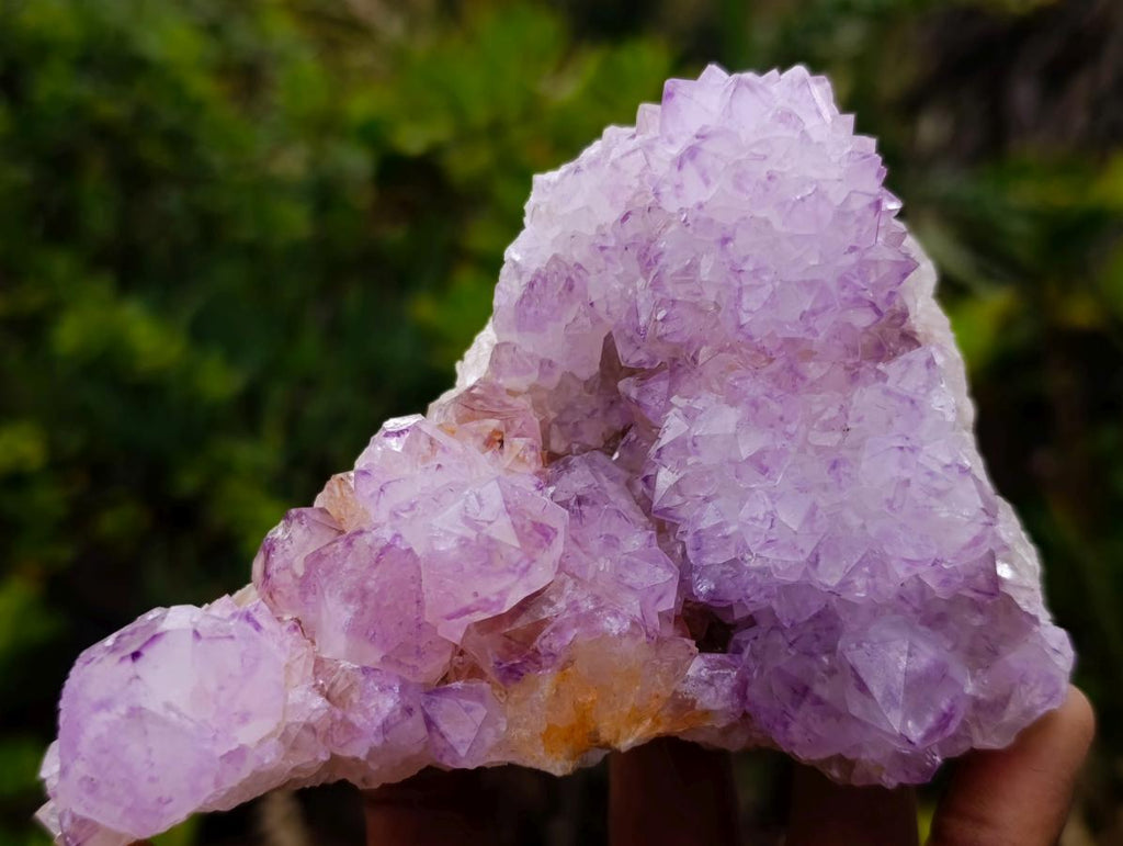 Natural Sunburst Cactus Flower Spirit Amethyst Crystal Cluster x 1 From Boekenhouthoek, South Africa