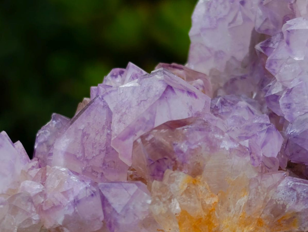 Natural Sunburst Cactus Flower Spirit Amethyst Crystal Cluster x 1 From Boekenhouthoek, South Africa