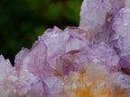 Natural Sunburst Cactus Flower Spirit Amethyst Crystal Cluster x 1 From Boekenhouthoek, South Africa