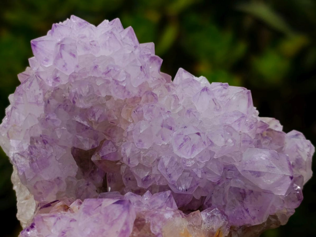 Natural Sunburst Cactus Flower Spirit Amethyst Crystal Cluster x 1 From Boekenhouthoek, South Africa