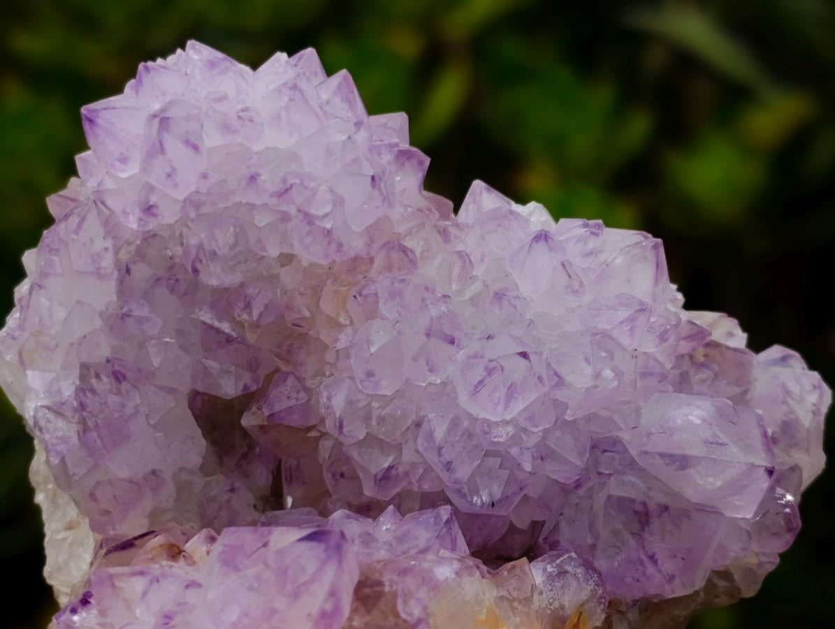 Natural Sunburst Cactus Flower Spirit Amethyst Crystal Cluster x 1 From Boekenhouthoek, South Africa