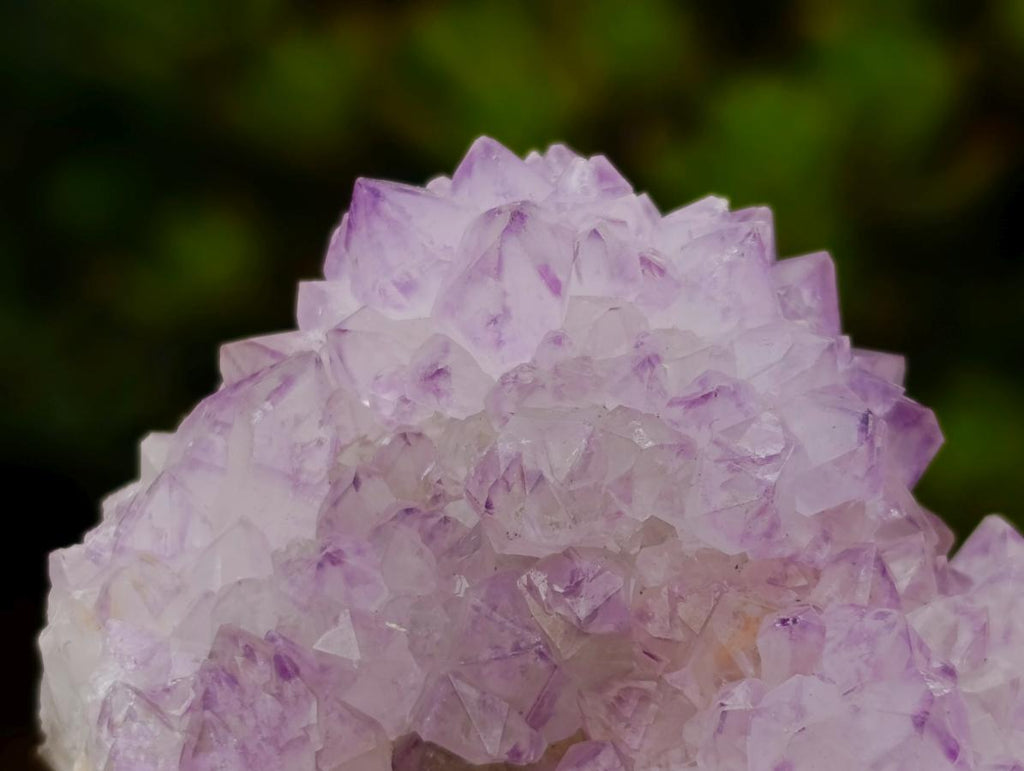 Natural Sunburst Cactus Flower Spirit Amethyst Crystal Cluster x 1 From Boekenhouthoek, South Africa