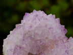 Natural Sunburst Cactus Flower Spirit Amethyst Crystal Cluster x 1 From Boekenhouthoek, South Africa