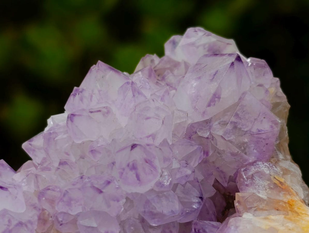 Natural Sunburst Cactus Flower Spirit Amethyst Crystal Cluster x 1 From Boekenhouthoek, South Africa