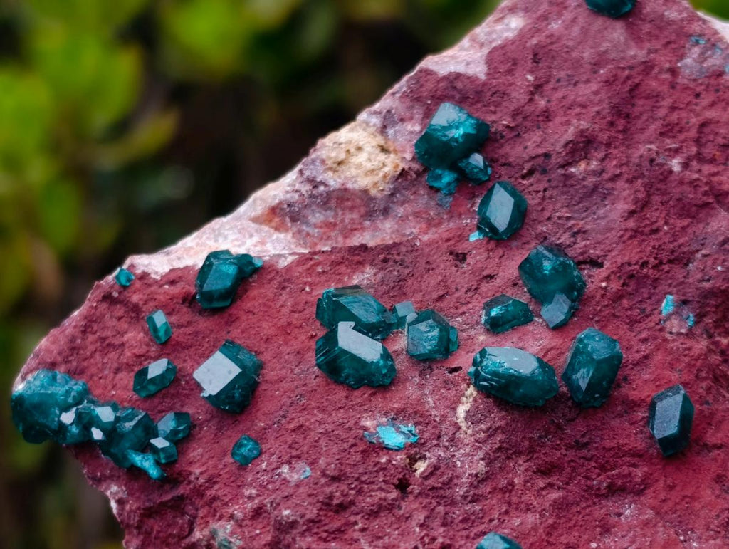 Natural Double Terminated Emerald Green Dioptase Crystals on Copper Dolomite Matrix x 1 From Mashamba East Mine, Congo