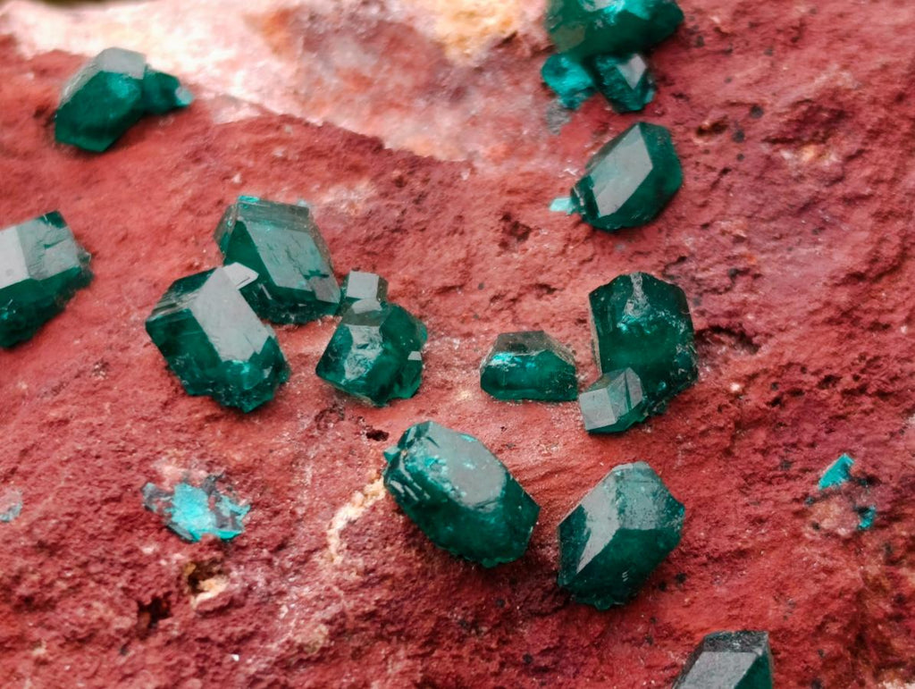 Natural Double Terminated Emerald Green Dioptase Crystals on Copper Dolomite Matrix x 1 From Mashamba East Mine, Congo