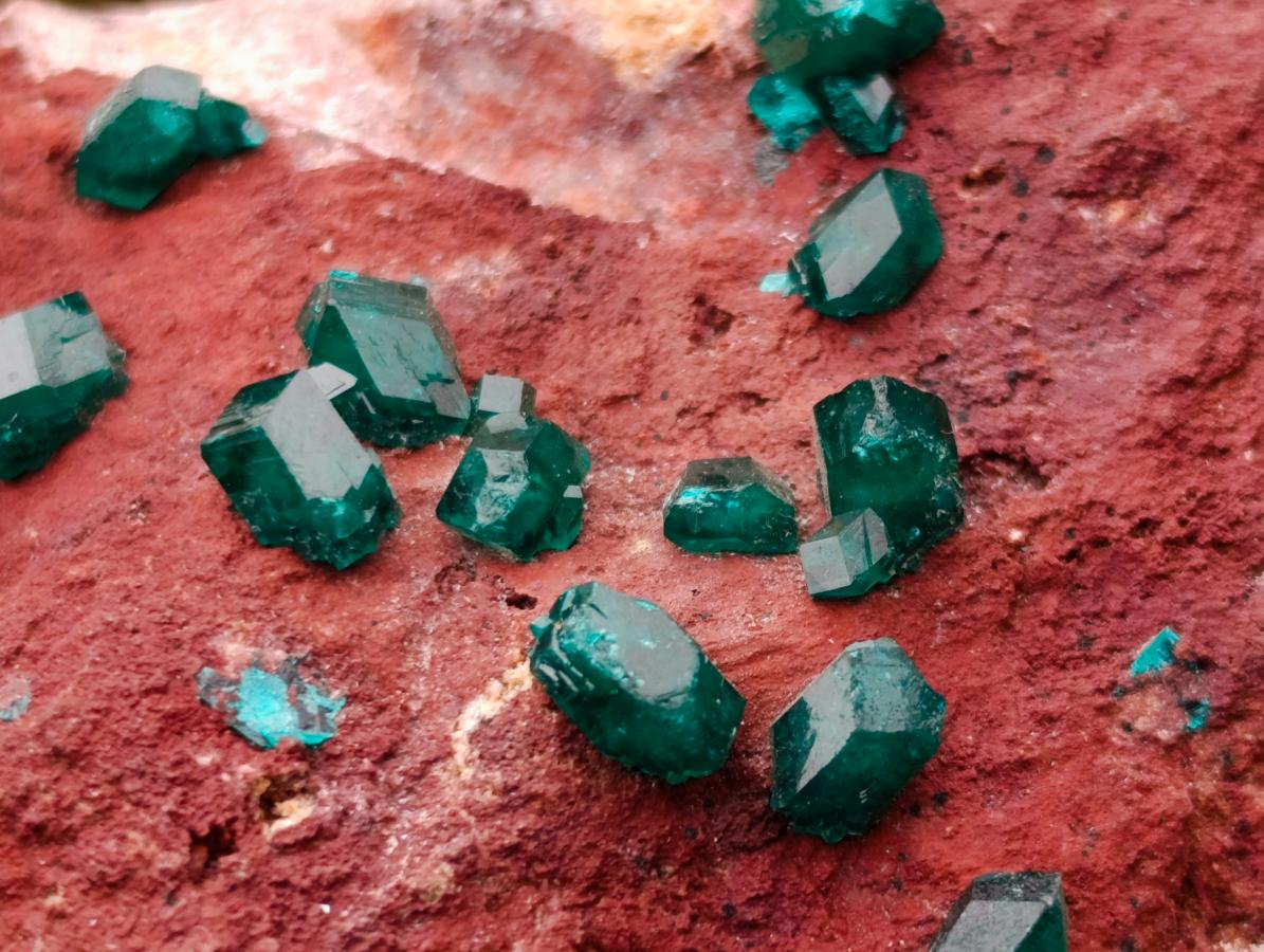 Natural Double Terminated Emerald Green Dioptase Crystals on Copper Dolomite Matrix x 1 From Mashamba East Mine, Congo