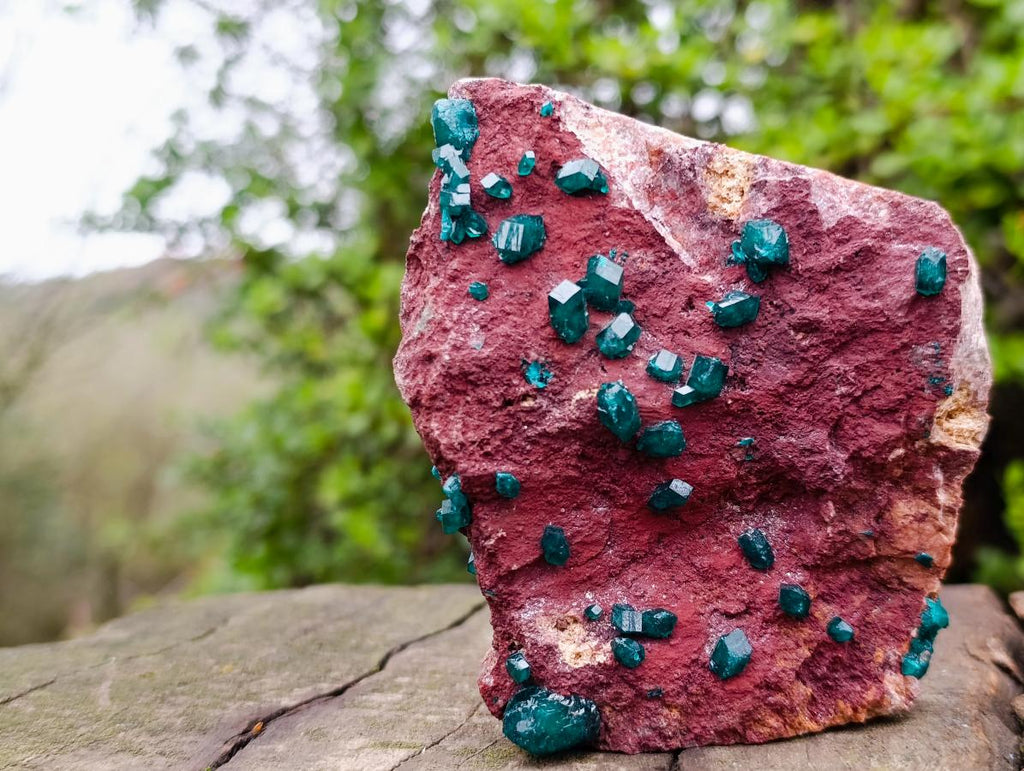 Natural Double Terminated Emerald Green Dioptase Crystals on Copper Dolomite Matrix x 1 From Mashamba East Mine, Congo