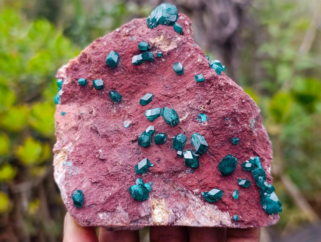 Natural Double Terminated Emerald Green Dioptase Crystals on Copper Dolomite Matrix x 1 From Mashamba East Mine, Congo
