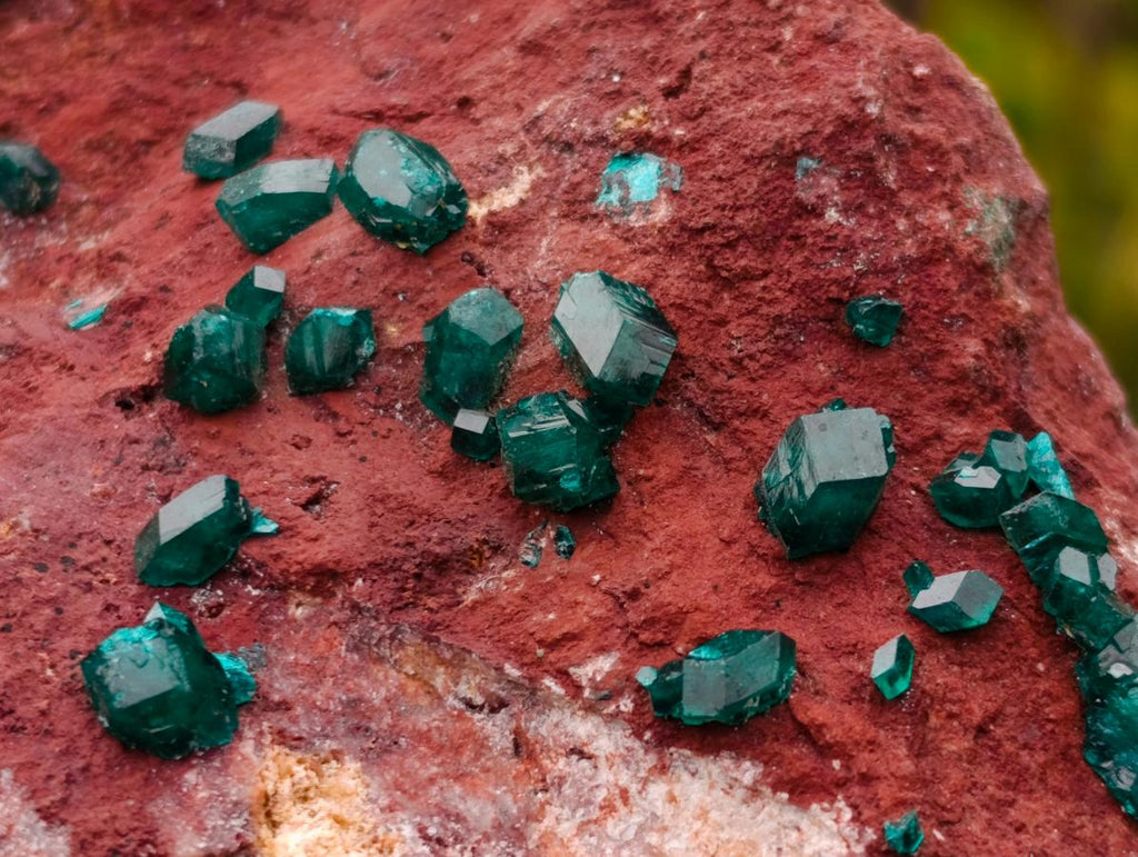 Natural Double Terminated Emerald Green Dioptase Crystals on Copper Dolomite Matrix x 1 From Mashamba East Mine, Congo