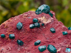 Natural Double Terminated Emerald Green Dioptase Crystals on Copper Dolomite Matrix x 1 From Mashamba East Mine, Congo