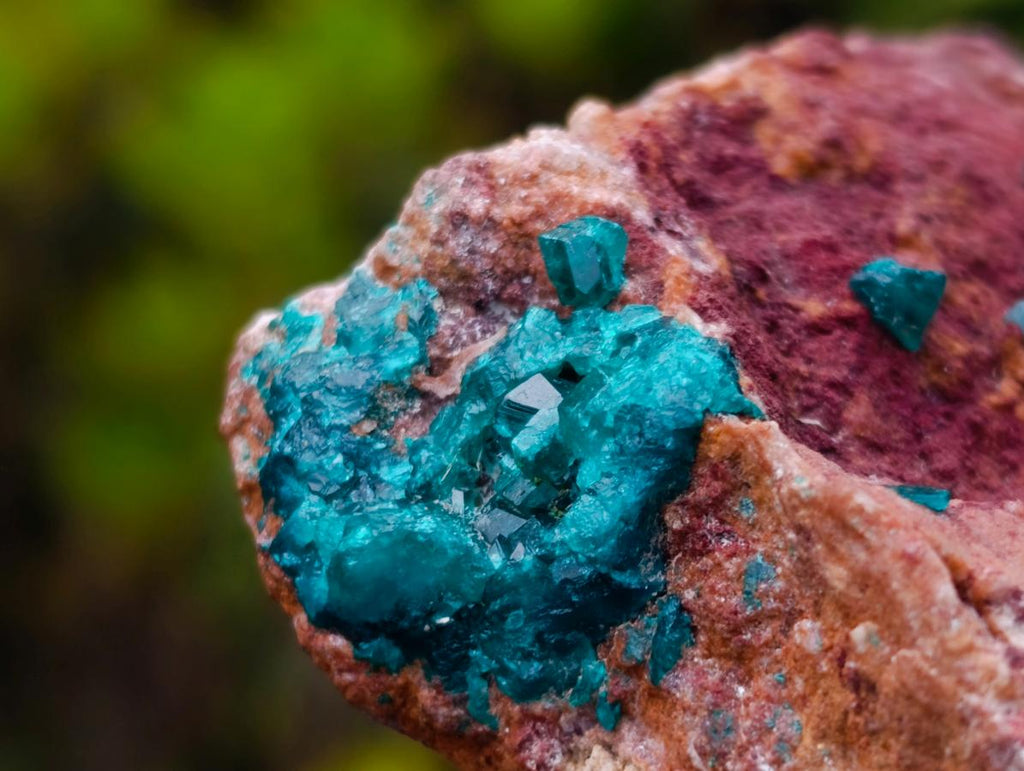 Natural Double Terminated Emerald Green Dioptase Crystals on Copper Dolomite Matrix x 1 From Mashamba East Mine, Congo