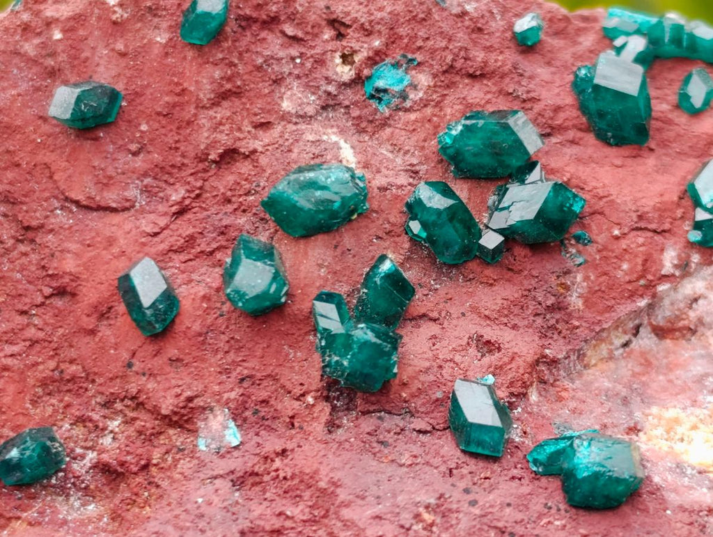 Natural Double Terminated Emerald Green Dioptase Crystals on Copper Dolomite Matrix x 1 From Mashamba East Mine, Congo