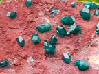 Natural Double Terminated Emerald Green Dioptase Crystals on Copper Dolomite Matrix x 1 From Mashamba East Mine, Congo