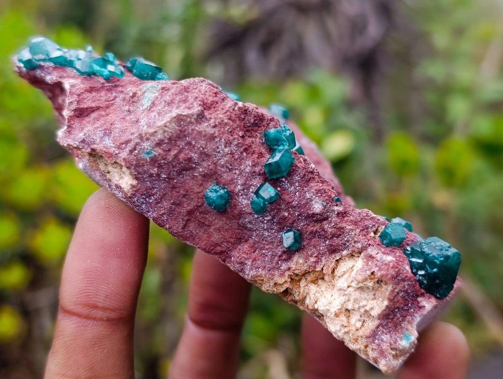 Natural Double Terminated Emerald Green Dioptase Crystals on Copper Dolomite Matrix x 1 From Mashamba East Mine, Congo