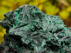 Polished and Natural Unique Pair of Crystalline Silky Malachite Halves x 1 From Kasompe, Congo