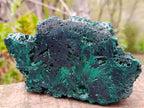 Polished and Natural Unique Pair of Crystalline Silky Malachite Halves x 1 From Kasompe, Congo