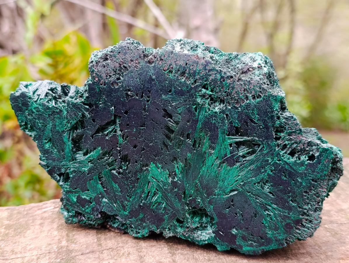 Polished and Natural Unique Pair of Crystalline Silky Malachite Halves x 1 From Kasompe, Congo