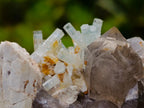 Natural Goshenite Aquamarine Cluster on a Smokey Quartz and Feldspar Matrix x 1 From Erongo, Namibia