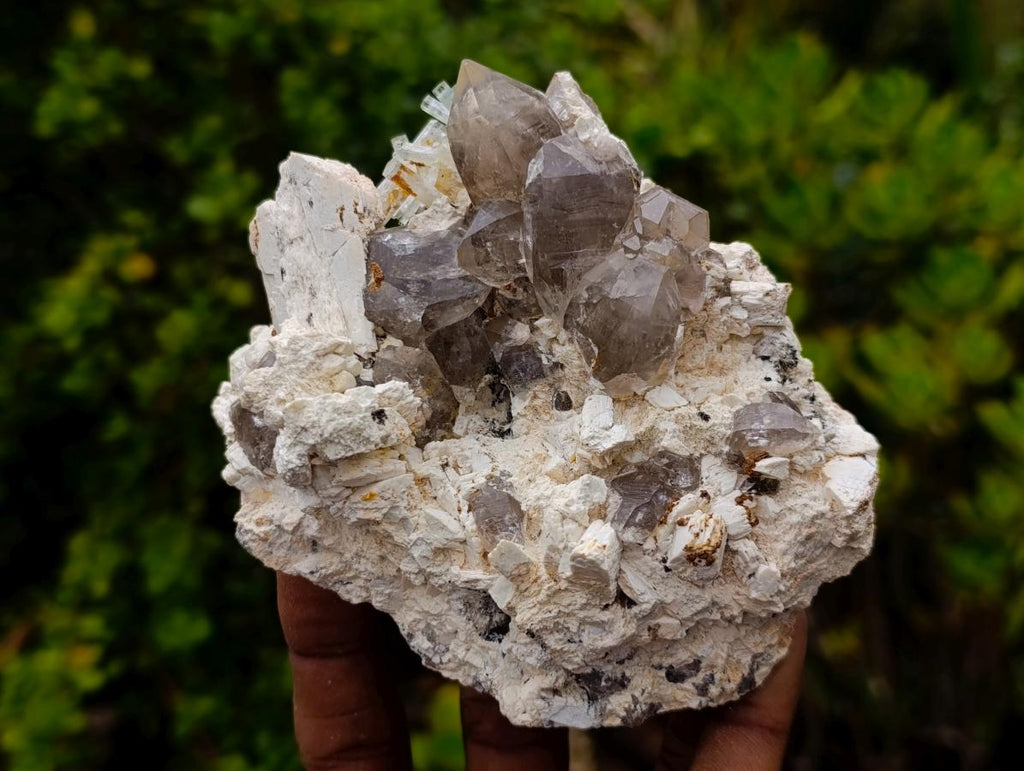 Natural Goshenite Aquamarine Cluster on a Smokey Quartz and Feldspar Matrix x 1 From Erongo, Namibia