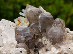 Natural Goshenite Aquamarine Cluster on a Smokey Quartz and Feldspar Matrix x 1 From Erongo, Namibia
