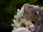 Natural Goshenite Aquamarine Cluster on a Smokey Quartz and Feldspar Matrix x 1 From Erongo, Namibia