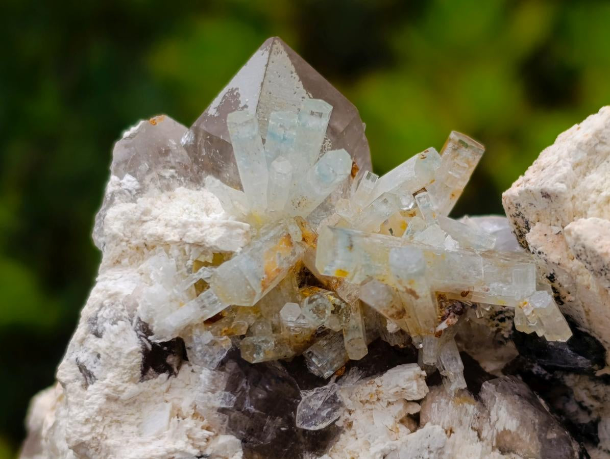 Natural Goshenite Aquamarine Cluster on a Smokey Quartz and Feldspar Matrix x 1 From Erongo, Namibia