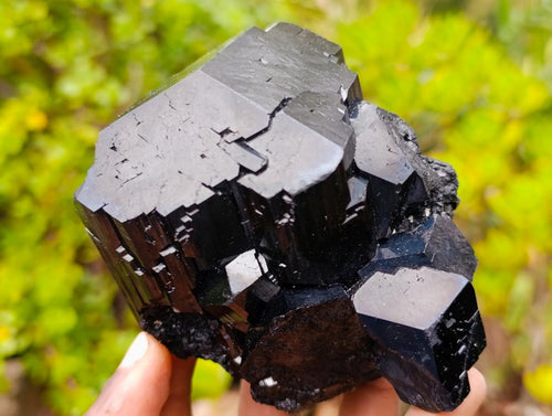 Natural Mercedes Star Cascading Schorl Black Tourmaline Crystal Cluster x 1 From Erongo Mountain, Namibia