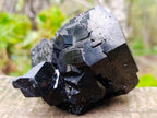 Natural Mercedes Star Cascading Schorl Black Tourmaline Crystal Cluster x 1 From Erongo Mountain, Namibia