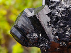Natural Mercedes Star Cascading Schorl Black Tourmaline Crystal Cluster x 1 From Erongo Mountain, Namibia