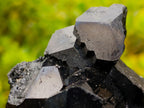 Natural Mercedes Star Cascading Schorl Black Tourmaline Crystal Cluster x 1 From Erongo Mountain, Namibia