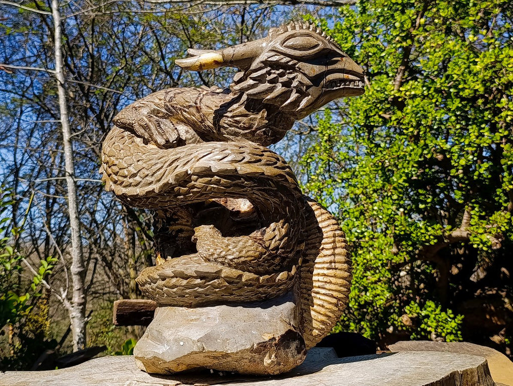 Hand Made XXL Septerye Dragon with Ammonite Sculpture x 1 From Mahajanga, Madagascar