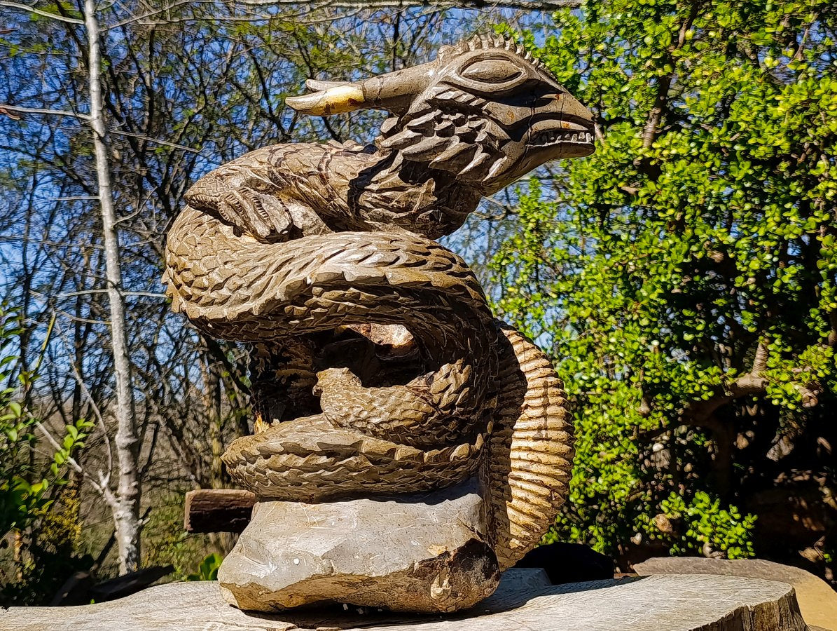 Hand Made XXL Septerye Dragon with Ammonite Sculpture x 1 From Mahajanga, Madagascar