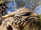 Hand Made XXL Septerye Dragon with Ammonite Sculpture x 1 From Mahajanga, Madagascar
