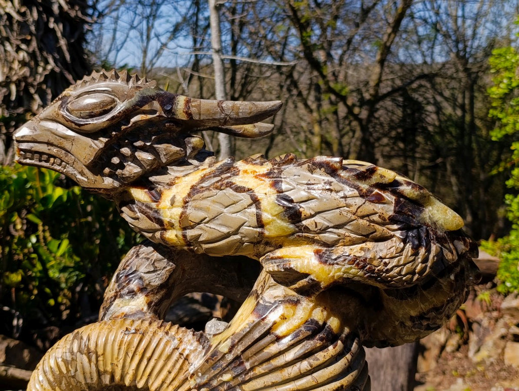 Hand Made XXL Septerye Dragon with Ammonite Sculpture x 1 From Mahajanga, Madagascar