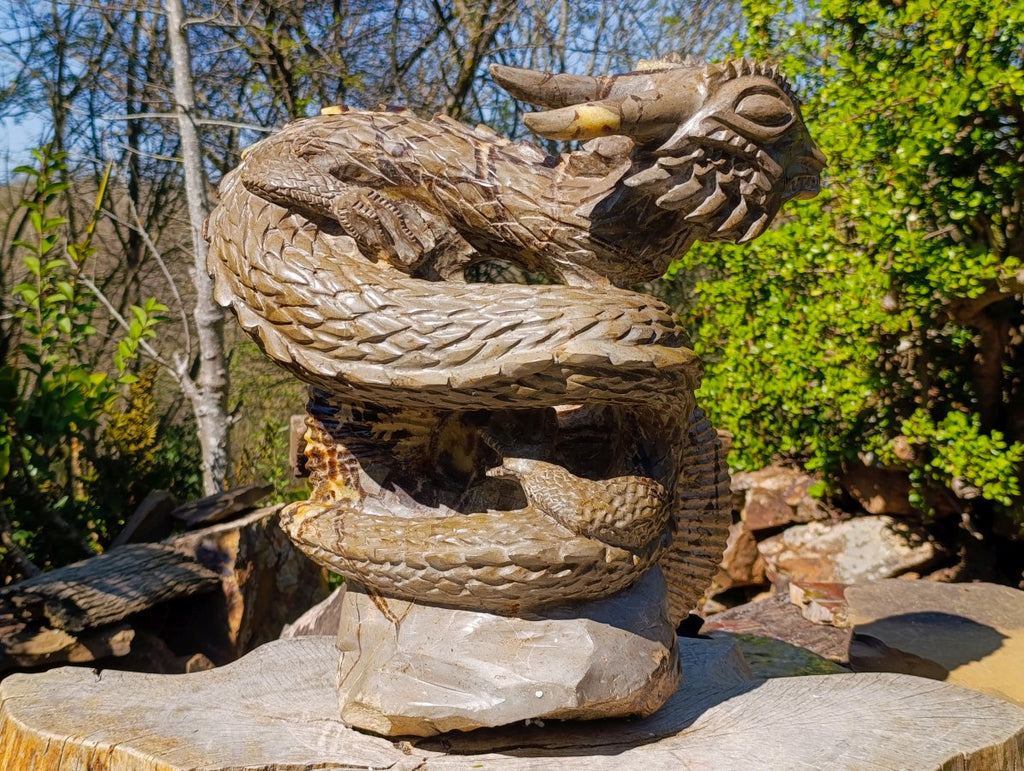 Hand Made XXL Septerye Dragon with Ammonite Sculpture x 1 From Mahajanga, Madagascar