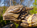 Hand Made XXL Septerye Dragon with Ammonite Sculpture x 1 From Mahajanga, Madagascar