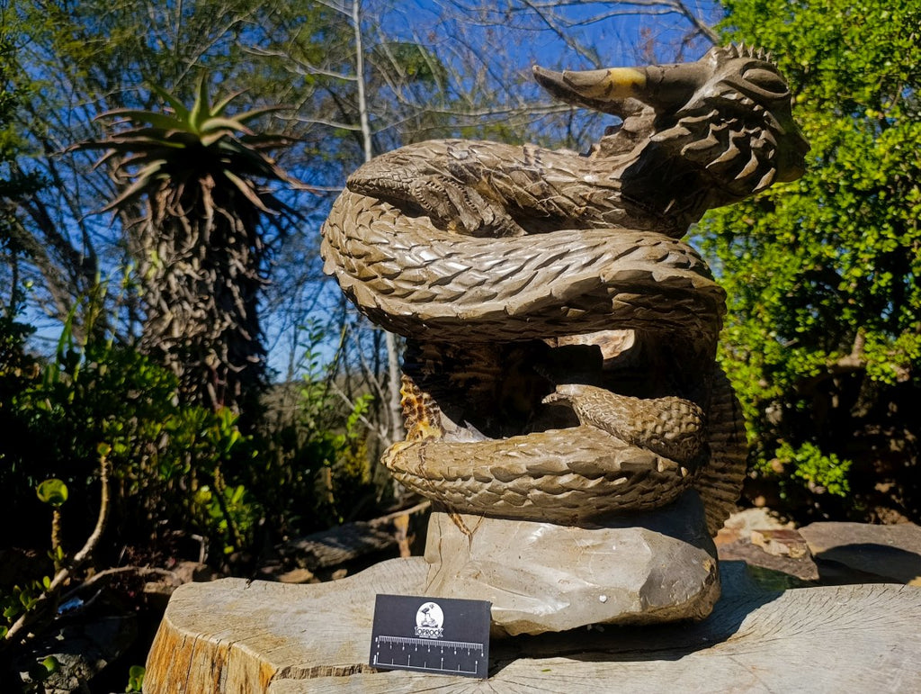 Hand Made XXL Septerye Dragon with Ammonite Sculpture x 1 From Mahajanga, Madagascar