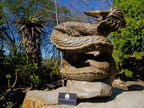 Hand Made XXL Septerye Dragon with Ammonite Sculpture x 1 From Mahajanga, Madagascar